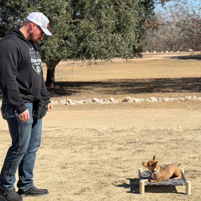 A Steady State K9 trainer working a dog at a distance on a place board