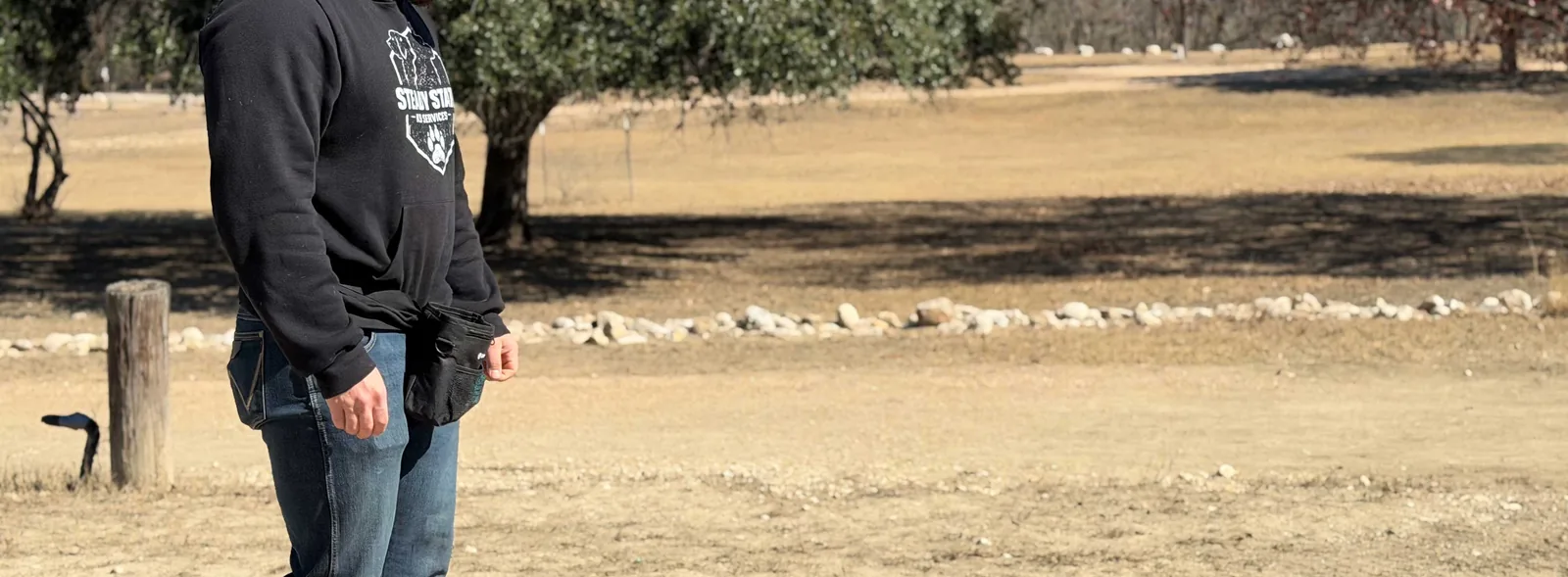 A Steady State K9 trainer working a dog in a San Antonio park